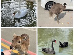 -常州淹城野生动物世界