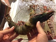 -纽顿熟食中心