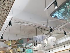 -探窝·竹笙椰子鸡(杨箕店)