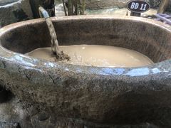 -100蛋泥浆浴