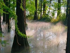 -东湖落雁景区
