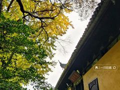 -西园戒幢律寺