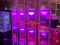 -巴特餐饮6加1音乐餐吧·新疆菜