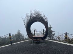 -武陵山森林公园