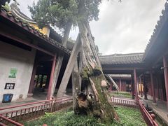 -太平天国侍王府