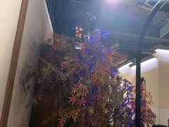 -首秀·四川料理(星耀101店)