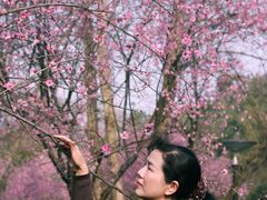 -重庆彩云湖湿地公园
