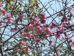 -宁波儿童公园(鄞州区)