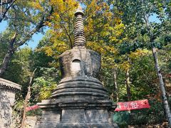 -潭柘寺景区