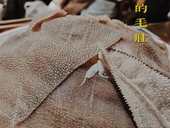 -大龙燚火锅(春熙店)