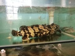 -三姐妹·海鲜大排档