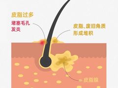 -中国农业大学(西校区)