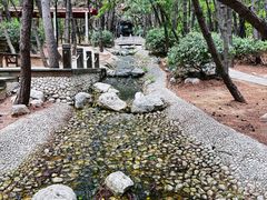 -林海公园