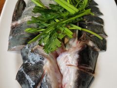 -红牌美蛙鱼头火锅(万辉国际广场店)