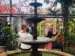 -The Grounds of Alexandria