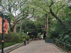 -九龙公园