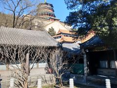 -颐和园