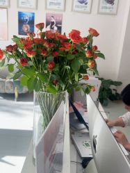 -Dr.林醫生产后修复·配方产康店(南京大厂店)