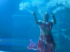 -海棠湾洲际-涛·海底餐厅·美人鱼·自助餐·海底隧道