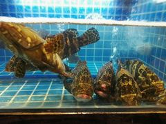 -阿娘家·原生态农家菜(国顺东路店)