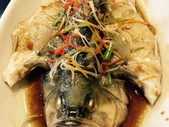 -肘子酥·天津菜·特色捞面(德云社店)