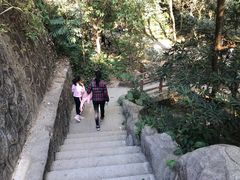 -火炉山森林公园