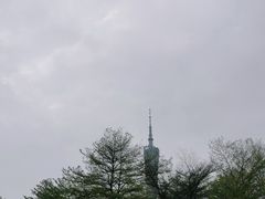-广州塔