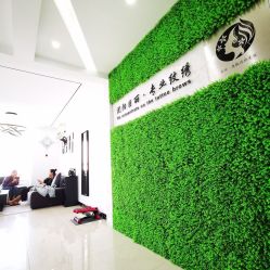 -臣丽纹眉品牌连锁