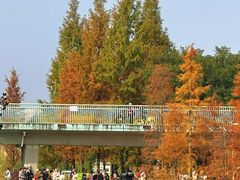 -白鹭湾湿地公园