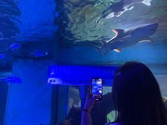 -常州海昌海洋探索馆
