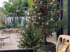 -自由生长植物工作室(深港花卉中心店)