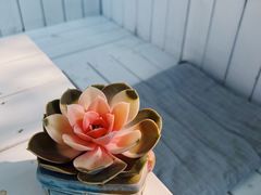 -一杯海(国际海水浴场店)