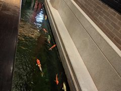 -龙悦湾酒家·八阵鱼生·渔人码头店