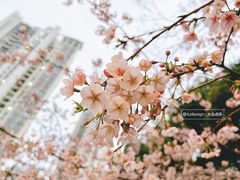 -静安雕塑公园
