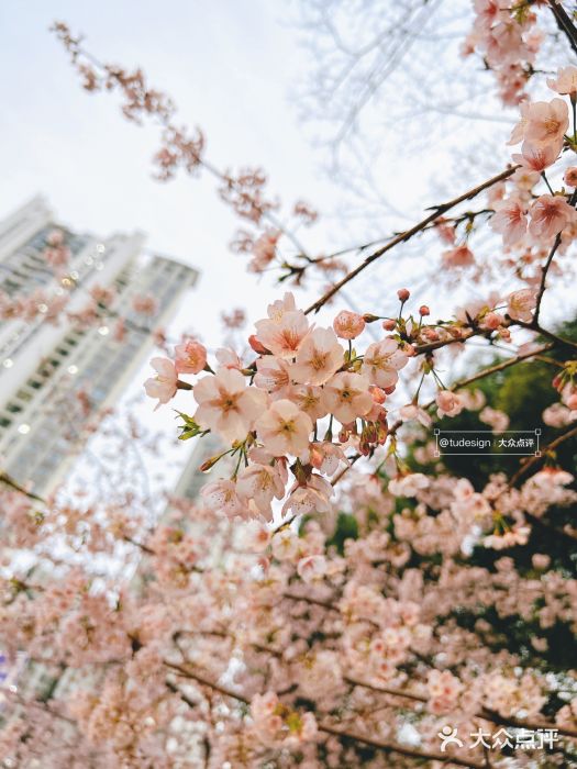 静安雕塑公园图片