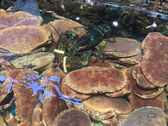 -盒马鲜生(皇庭广场店)