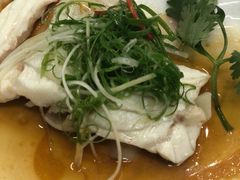 野生斑鱼-宜兴隆家宴·私房菜(泰安华庭店)