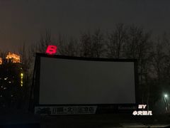 -枫花园汽车电影院(朝阳公园店)