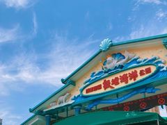 -海合安成都极地海洋公园