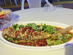 -百味地锅鸡(二店·财校分店)