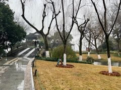 -柳莺湖上·湖景餐厅·江南菜(西湖店)