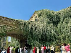 -府河摄影公园