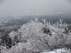 -紫金山山顶公园