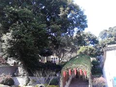 -乌山风景区