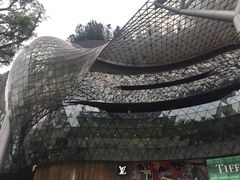 -爱雍·乌节