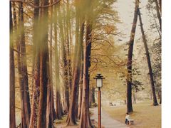 景点-中国科学院华南植物园