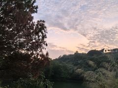 -广东惠东海龟国家级自然保护区