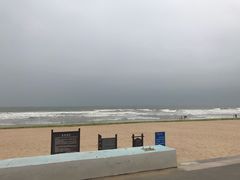 -日照海滨国家森林公园