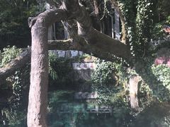 -蝴蝶泉公园