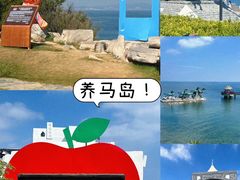 -昌顺园·养马岛渔家海鲜餐厅·老鲁菜(龙湖店)